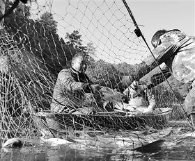 發展生態水產養殖，提升水產品質量