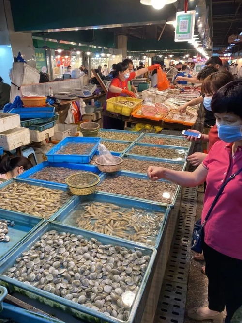 5月1日起溫州全面進入海洋伏季休漁期 還能享受哪些海鮮與養殖水產品？