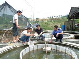 保障市民餐桌安全 我市開展養殖水產品及水產苗種藥物殘留抽檢工作