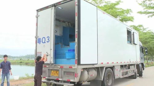 陽江水產(chǎn)種業(yè)工廠化模式助推海水養(yǎng)殖高質(zhì)量發(fā)展