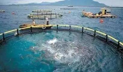 水產(chǎn)養(yǎng)殖新規(guī)出臺，是挑戰(zhàn)更是機遇 凈水漁業(yè)引領(lǐng)產(chǎn)業(yè)未來