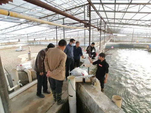 九江水產(chǎn) 產(chǎn)得出、運得走、不積壓、不賣難，力促產(chǎn)業(yè)平穩(wěn)有序發(fā)展