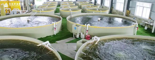 生生農(nóng)業(yè)集團 打造全產(chǎn)業(yè)鏈閉環(huán)，實現(xiàn)水產(chǎn)養(yǎng)殖與全鏈路的深度賦能