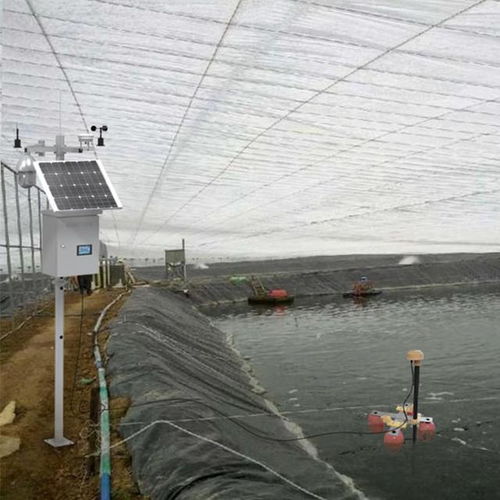 水產(chǎn)養(yǎng)殖監(jiān)測系統(tǒng) 現(xiàn)代水產(chǎn)品養(yǎng)殖的智慧守護者