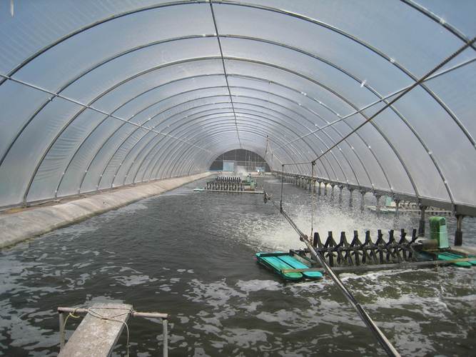 水產養殖業的廣闊前景 為何水產品養殖仍具巨大發展空間